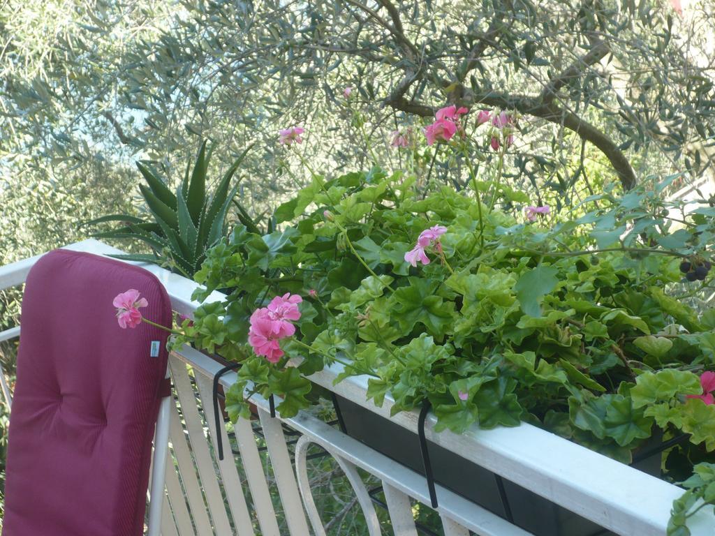 Appartamento Michela Brenzone sul Garda Δωμάτιο φωτογραφία